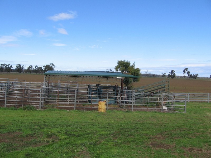 Bundulla Grandchester Road, Mendooran NSW 2842