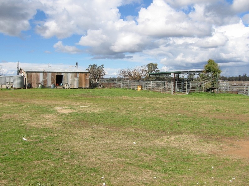 Bundulla Grandchester Road, Mendooran NSW 2842