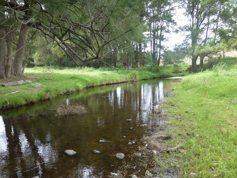 844 Duncan’s Creek Road, Woolomin NSW 2340