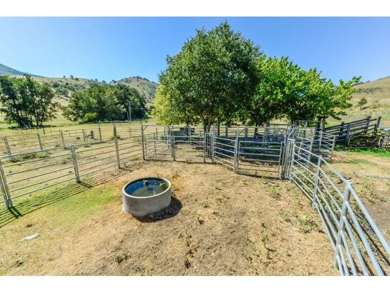 844 Duncan’s Creek Road, Woolomin NSW 2340