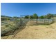 844 Duncan’s Creek Road, Woolomin NSW 2340