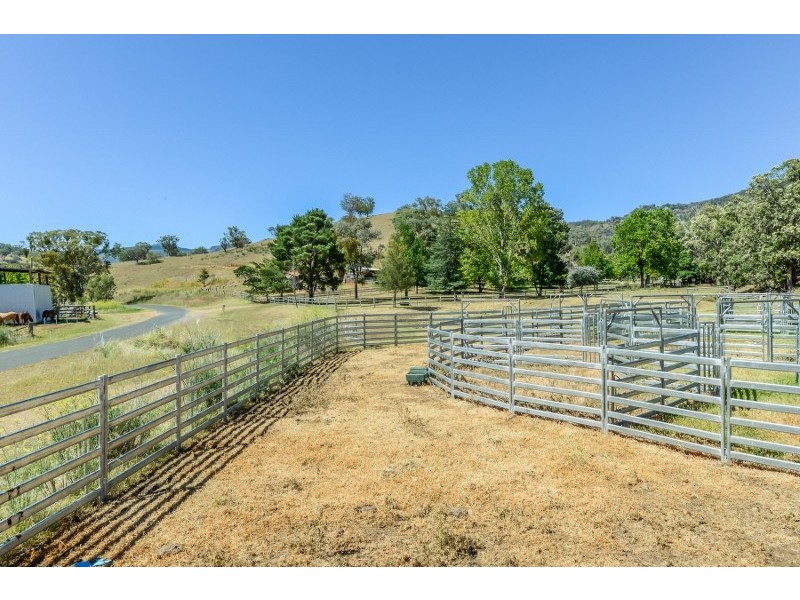 844 Duncan’s Creek Road, Woolomin NSW 2340