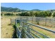 844 Duncan’s Creek Road, Woolomin NSW 2340