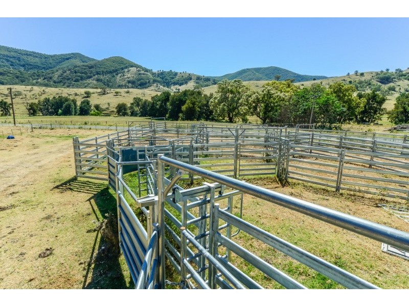 844 Duncan’s Creek Road, Woolomin NSW 2340