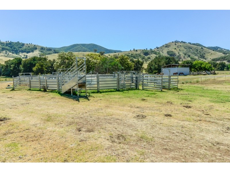 844 Duncan’s Creek Road, Woolomin NSW 2340