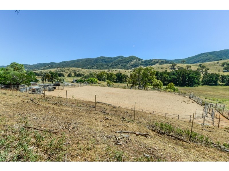 844 Duncan’s Creek Road, Woolomin NSW 2340