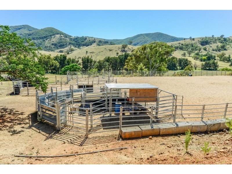 844 Duncan’s Creek Road, Woolomin NSW 2340