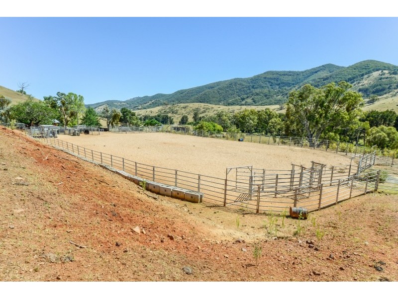 844 Duncan’s Creek Road, Woolomin NSW 2340