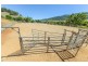 844 Duncan’s Creek Road, Woolomin NSW 2340