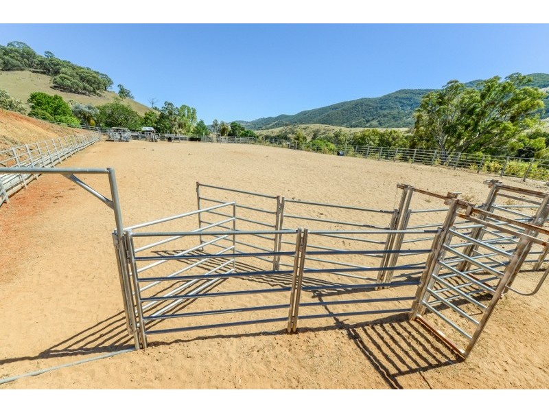 844 Duncan’s Creek Road, Woolomin NSW 2340