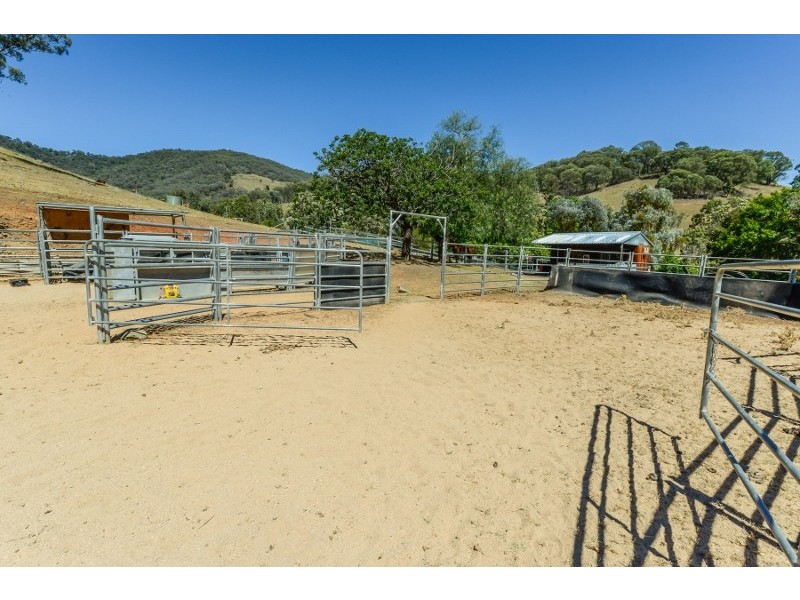 844 Duncan’s Creek Road, Woolomin NSW 2340