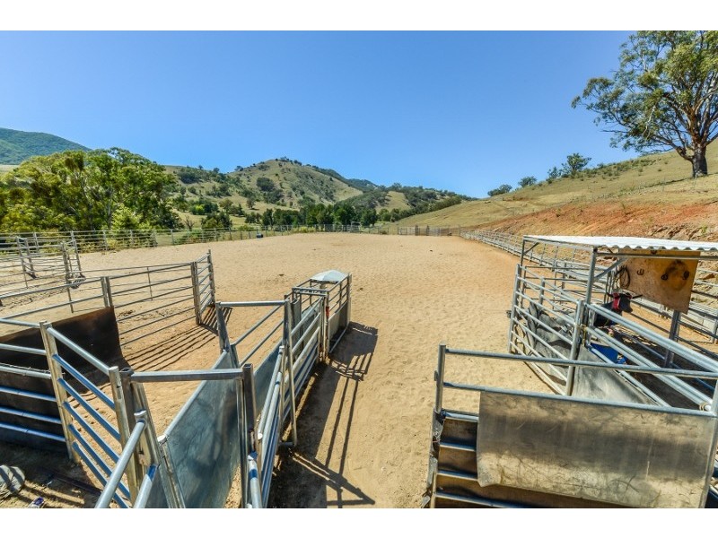 844 Duncan’s Creek Road, Woolomin NSW 2340