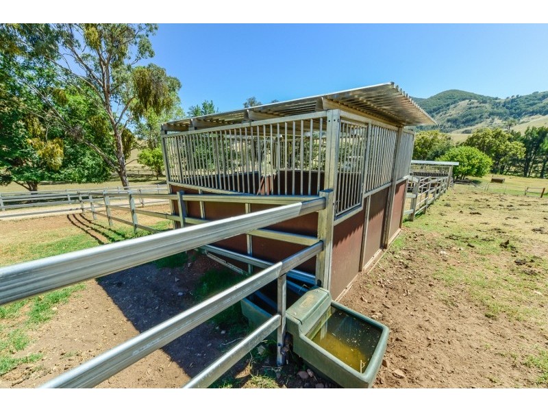 844 Duncan’s Creek Road, Woolomin NSW 2340