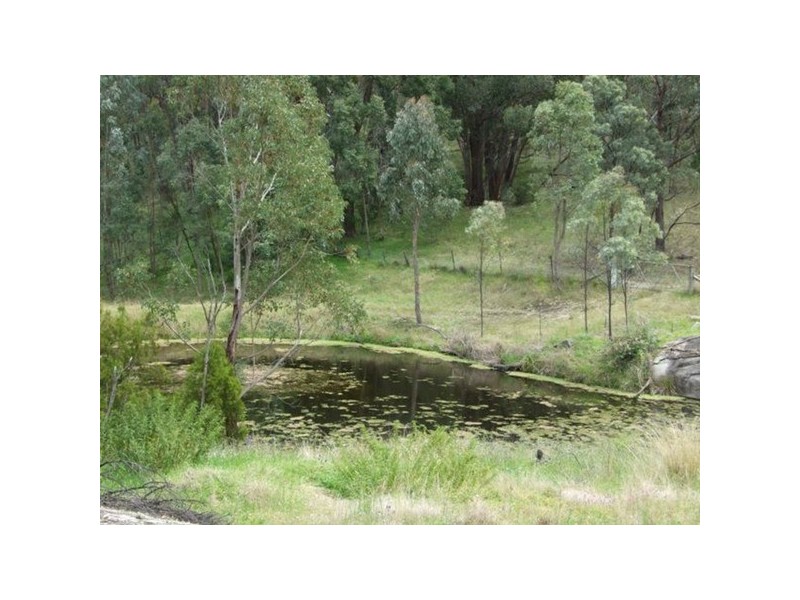 40 Moonbi Lookout Road, Moonbi NSW 2353