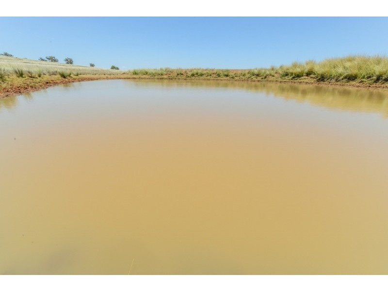 2647 Adavale Manilla Road,, Attunga NSW 2345