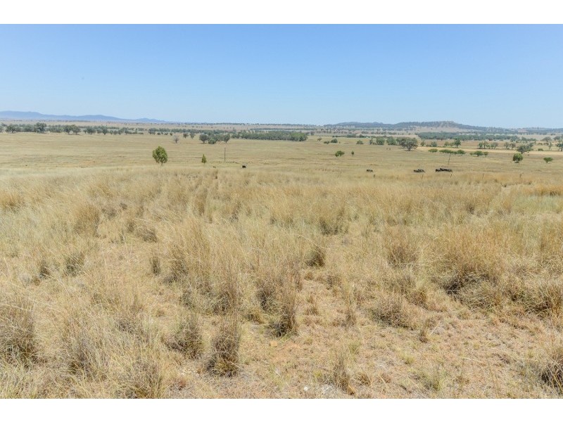2647 Adavale Manilla Road,, Attunga NSW 2345