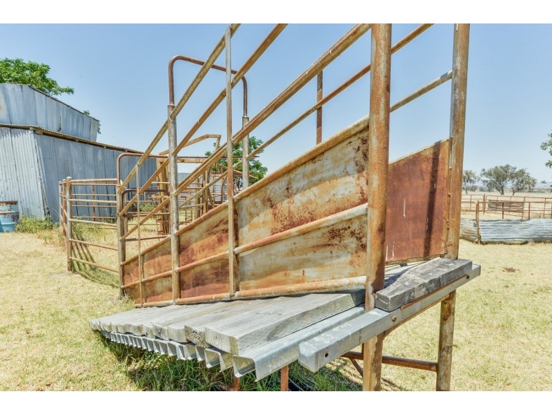 2647 Adavale Manilla Road,, Attunga NSW 2345