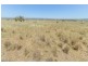 2647 Adavale Manilla Road,, Attunga NSW 2345