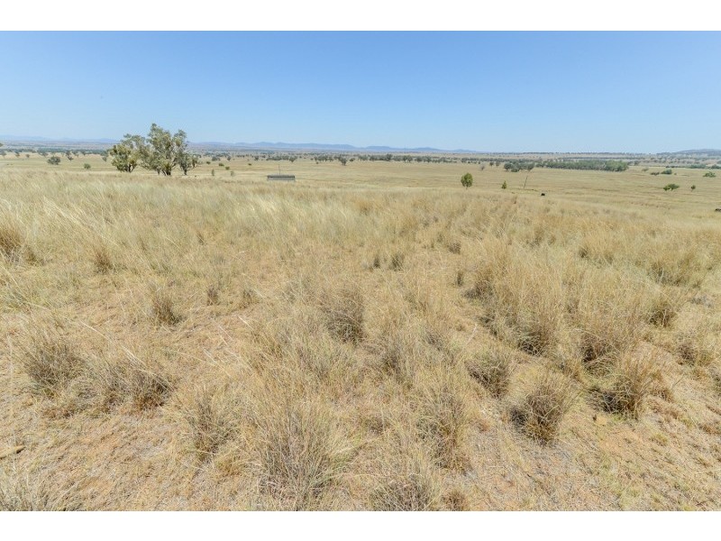 2647 Adavale Manilla Road,, Attunga NSW 2345
