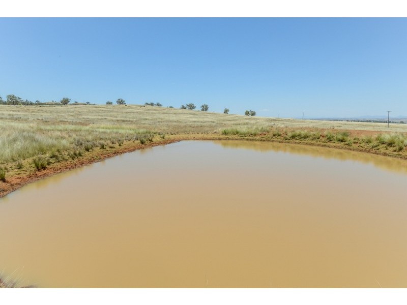 2647 Adavale Manilla Road,, Attunga NSW 2345
