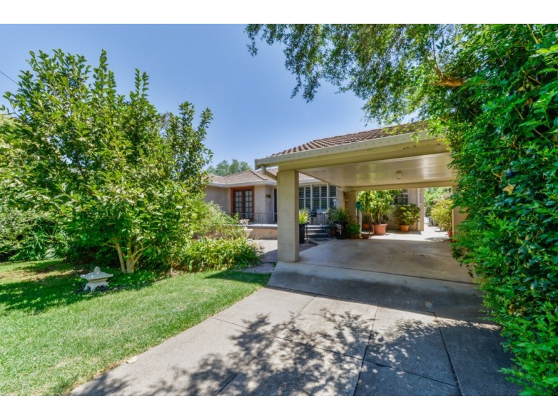 6 Bushland Avenue, East Tamworth NSW 2340