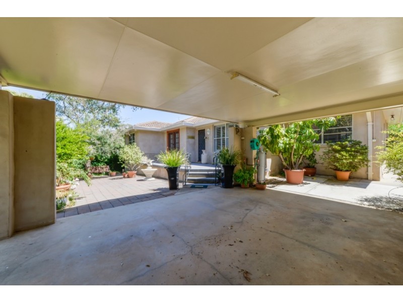 6 Bushland Avenue, East Tamworth NSW 2340