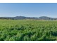 1234 Manilla Road, Tamworth NSW 2340