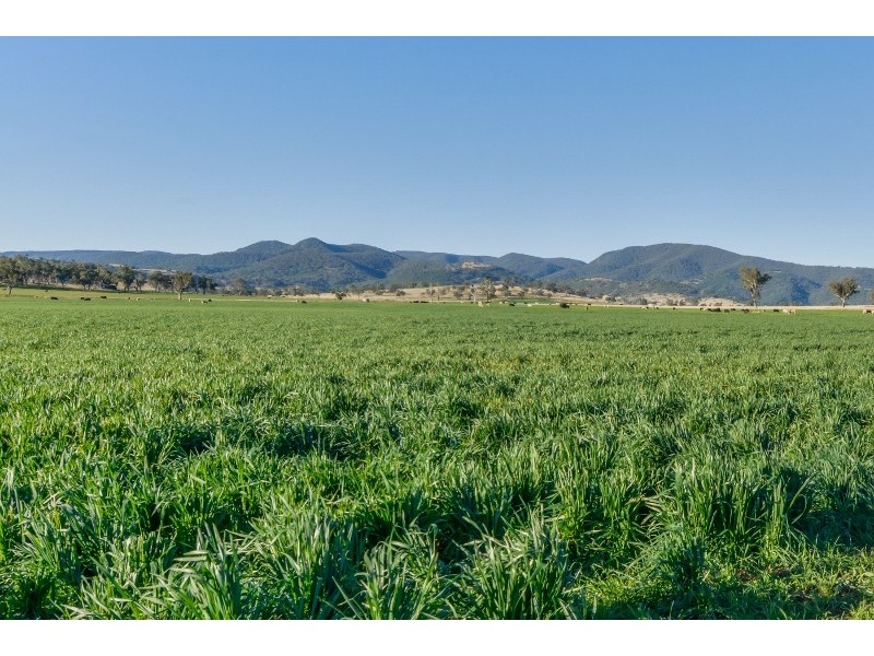 1234 Manilla Road, Tamworth NSW 2340