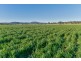 1234 Manilla Road, Tamworth NSW 2340