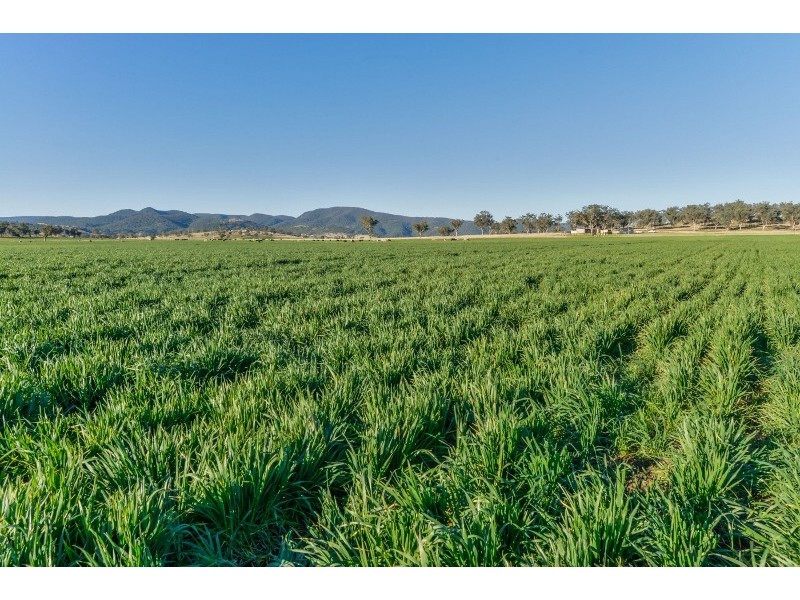 1234 Manilla Road, Tamworth NSW 2340