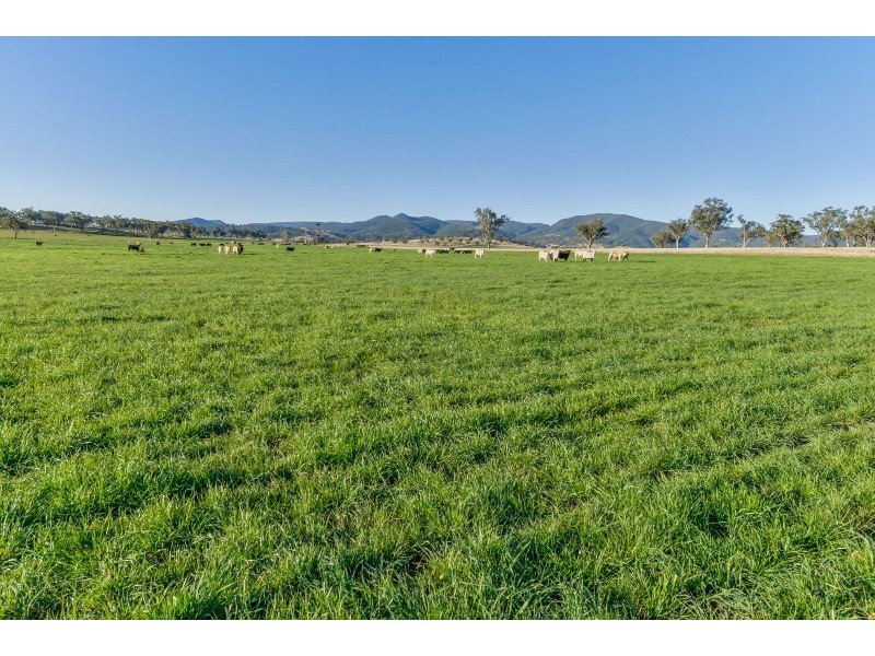 1234 Manilla Road, Tamworth NSW 2340
