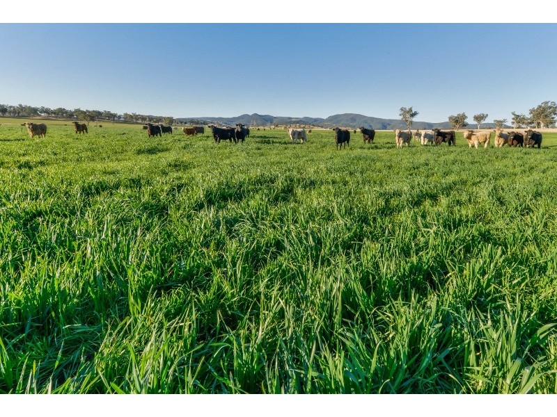 1234 Manilla Road, Tamworth NSW 2340