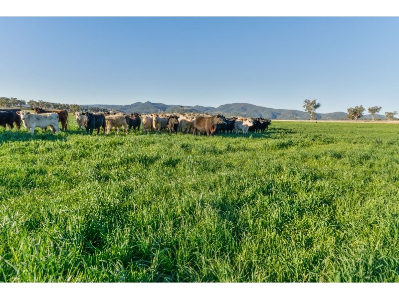 1234 Manilla Road, Tamworth NSW 2340