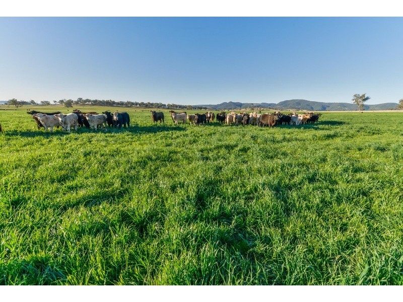 1234 Manilla Road, Tamworth NSW 2340
