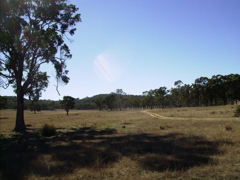 38 Green Valley Road, Bendemeer NSW 2355