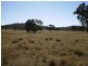 38 Green Valley Road, Bendemeer NSW 2355