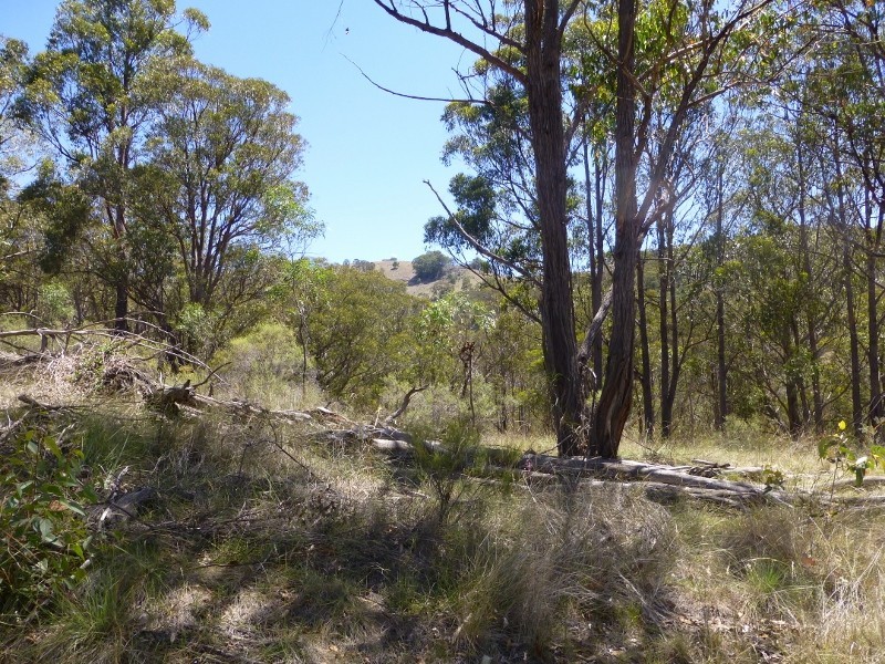 Byjingo Bendemeer Station Road, Bendemeer NSW 2355