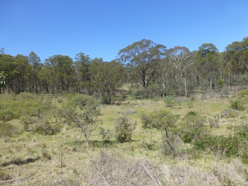 Byjingo Bendemeer Station Road, Bendemeer NSW 2355