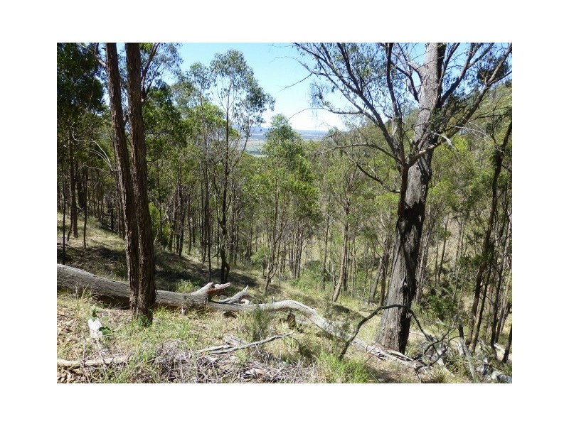 Byjingo Bendemeer Station Road, Bendemeer NSW 2355