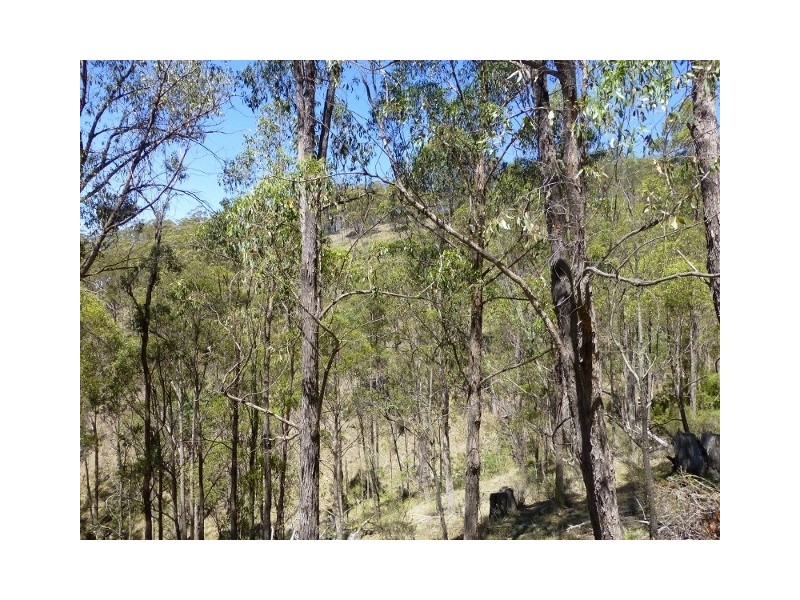 Byjingo Bendemeer Station Road, Bendemeer NSW 2355