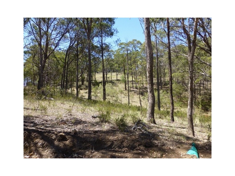 Byjingo Bendemeer Station Road, Bendemeer NSW 2355