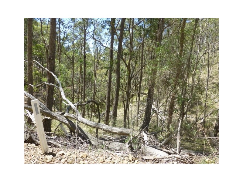 Byjingo Bendemeer Station Road, Bendemeer NSW 2355