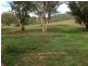 394 Dungowan Creek Road, Dungowan NSW 2340