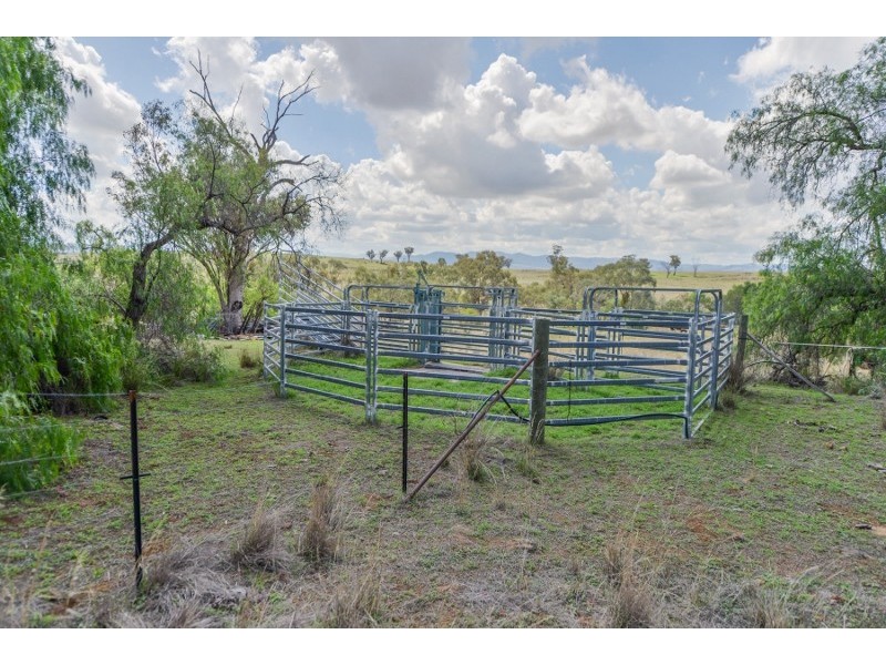 Tamworth NSW 2340