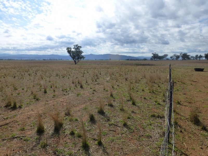 Lot 1 Oxley Lane, Westdale NSW 2340