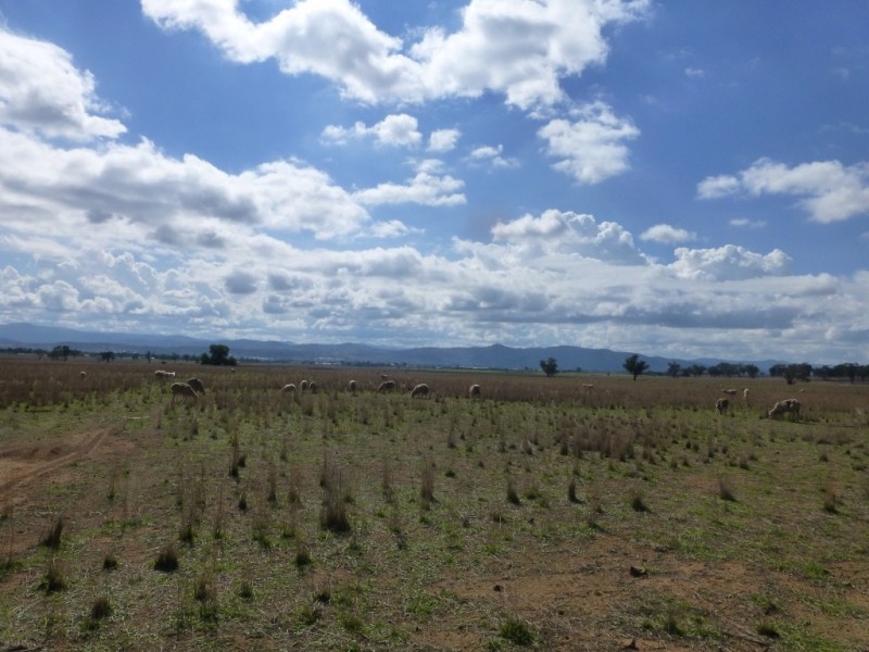 Lot 1 Oxley Lane, Westdale NSW 2340