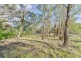 181 Wollanda Road, Tintinhull NSW 2352