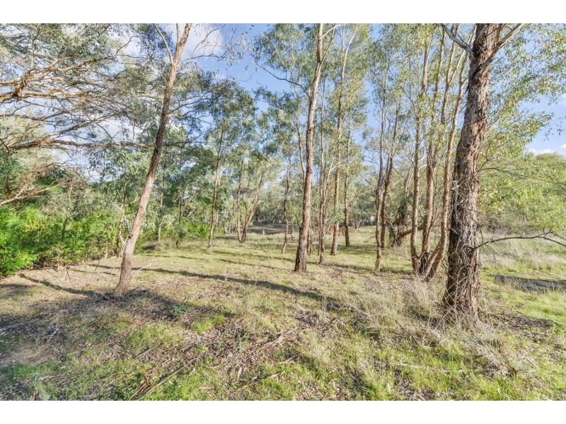 181 Wollanda Road, Tintinhull NSW 2352
