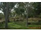 84 Caragnoo Road, Moonbi NSW 2353