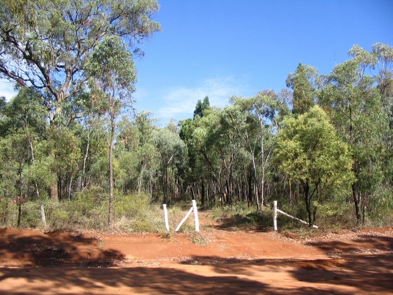 375 Quaker Tommy Road, Coonabarabran NSW 2357